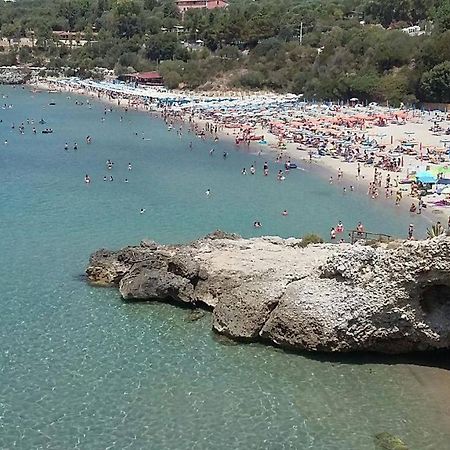 Delfino Hotel Marina di Camerota Luaran gambar