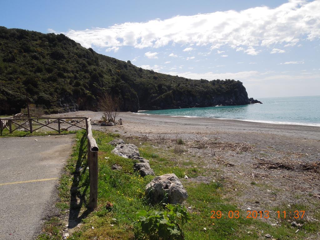 Delfino Hotel Marina di Camerota Luaran gambar